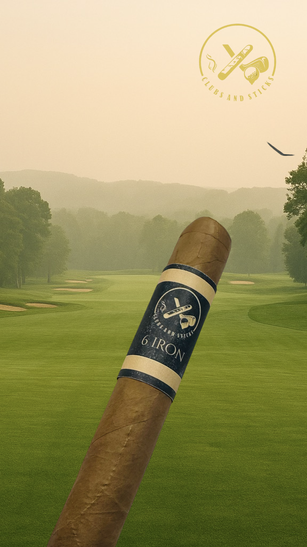 6 - Iron!  Premium Nicaraguan 6 X 60 Gordo Connecticut Cigar